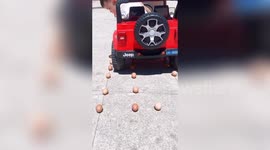 Four-year-old manages to reverse toy car in between eggs without breaking them