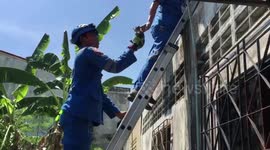 Thai rescuers save kitten trapped in drain pipe after falling inside during storm