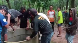 Two missing kittens rescued from 150ft deep well
