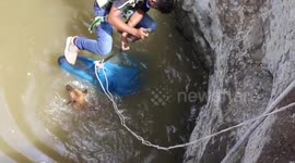 Rescuer struggles to save drowning dog from 70-feet deep well in western India