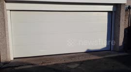 Garages, dogs and cars - White Electric Garage Door Opening