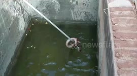 Firefighters rescue snake from a 4.5-metre-deep water tank in southern India