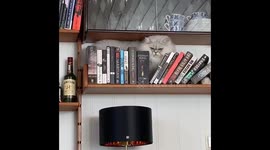 Cat regrets decision to explore book shelves and gets STUCK
