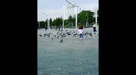 Test video