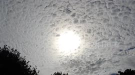Sun and altocumulus clouds timelapse
