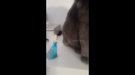 Cat doesn't like Frozen
