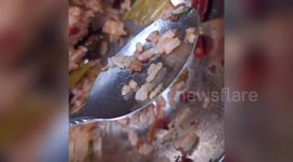 Chinese students find flies and worms in food from vocational high school canteen