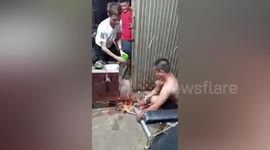 Husband Raids Piggy Bank To Surprise Wife