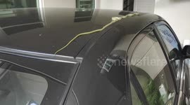 Snake Slithers Across Car Roof In Garage