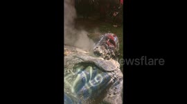 LONGER VERSION: Anti-racism protesters in Washington DC tear down statue of Confederate general