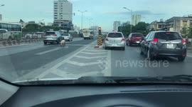 Runaway Pig Roams Along Highway In Vietnam