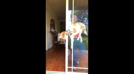 Cute Magic Tricks With My Dog !!