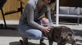 Woman speaks with four different accents after mystery brain injury