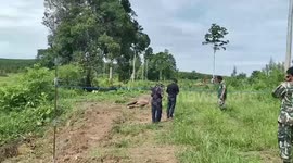 Two young elephants found dead after being electrocuted by fence protecting fruit farm