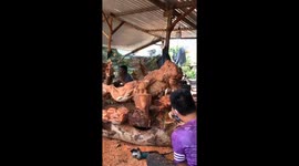 Vietnamese man transforms block of wood into impressive sculpture of tiger