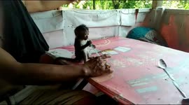 coffee-loving monkey boy