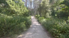 Foresta di Fiorentini - Sardegna