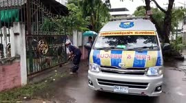 Stray dog rescued after getting stuck in metal gate while looking for shelter from rain