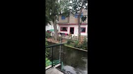 Fish leap out of canal as earthquake hits in southern Mexico