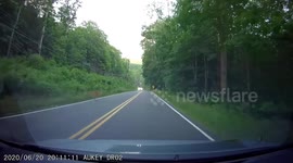 US couple shocked after striking a deer on North Carolina road