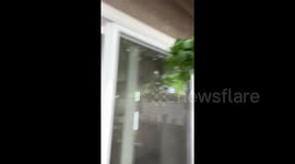 King’s County perspective,  6.1 Earthquake 6/24 10:40 am