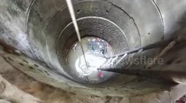 Two dogs fall into 24ft well before one survives with CPR and the other dies