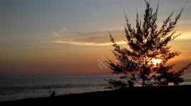 Beautiful views of the Water Bird's Nest area at Perupuk Tabing Padang Indonesia
