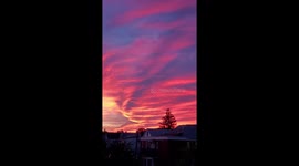 'Sound on!' Delightful sounds of morning sunrise in New Jersey