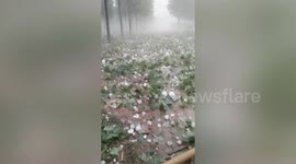 Egg-sized hailstones damage crops and cars in northern China