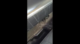 TV presenter films 'disgusting' conditions on First Class plane flight