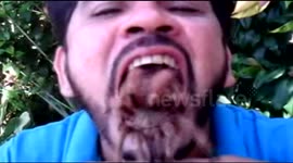 Brazilian man puts two huge tarantulas in his mouth