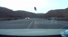 Driver has a collision with a wild boar in China