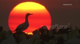 Take a moment to fall in love with Mother Nature this February