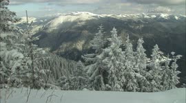 Snowy Landscape