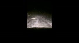 Driving in the snow