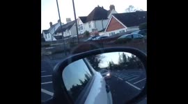 Reindeer on the loose in Kent, UK
