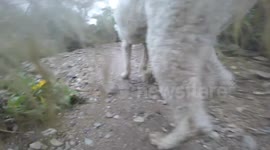 Mud Makes it More Fun