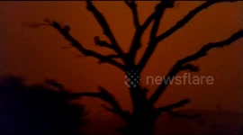 Village skies turns red after massive duststorm covers northwest India