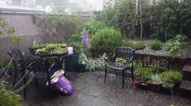 Hailstones in June during a thunderstorm in UK