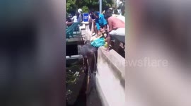 Cow rescued by firefighters after being trapped in storm drain for 2 hours in southern India