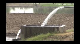 peddi replant by labourars