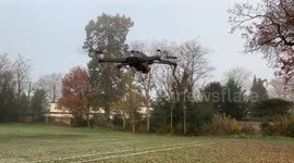 Fox trying to steal drone
