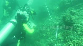 Indonesian coral reef has 'potential to fail' due to sedimentation