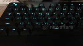 Kitten licks computer keyboard clean