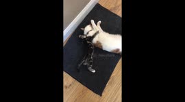 Get a little sister they said, it would be fun they said...