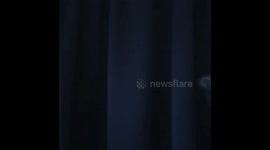 Bubbles in front of a black curtain