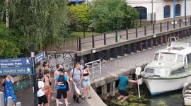 Man gets shoved into canal after standing up to girl who kicked swan