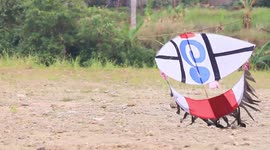 Indonesians come together and fly kites after COVID-19 lockdown