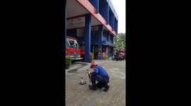 The King Cobra Chief Kissing Fire Team