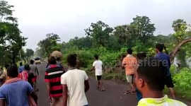 Wild elephant strays into neighbourhood, causes panic among locals in eastern India's West Bengal